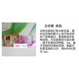 宝恒 新玉容膏35G 祛斑美白  畅销15年纯中药日霜