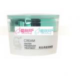 琦草美白养颜调理霜25g（后期） 老款绿色
